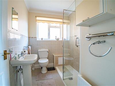 Picture 21